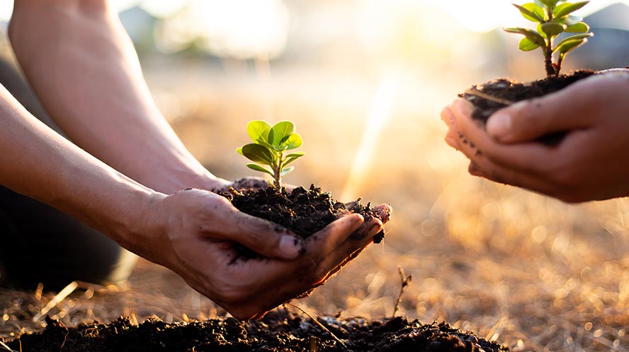 Sustainable Funds Beat Traditional Funds in First Half of 2025